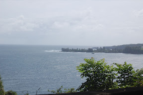 DSC_0906.JPG