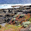 The Coastline At Admiral's Arch - Adelaide, Australia