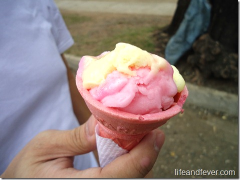 strawberry iced cream