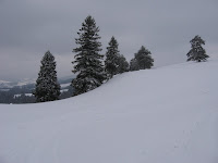 IMG_3244.JPG