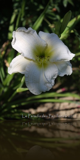 IMG_6383 IMG_6383