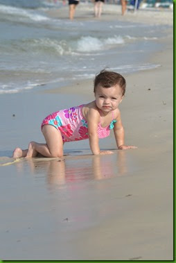 DSC_0505 DSC_0505