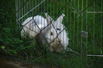 DSC_8569.jpg