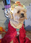 Queen Elizabeth