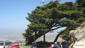 IMG_3721.jpg