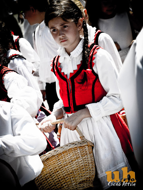 urnapja2011_portrek_12.jpg