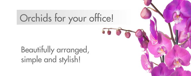Send Luxury Orchids - http://www.only-orchids.com/Fresh-Flower-Stems-Delivered/