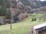 P1152999.JPG