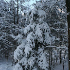 3-1-2010-022.jpg