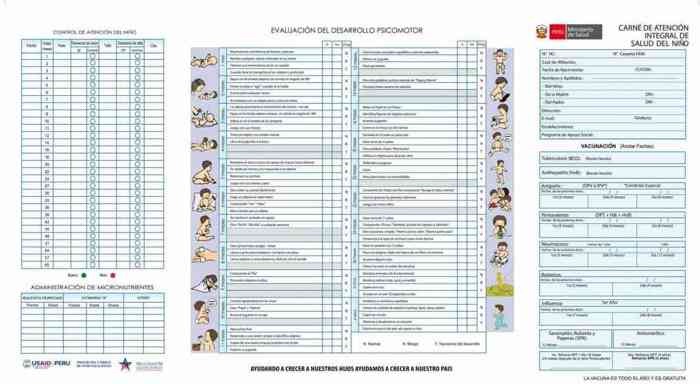 carnet de vacunacion de niños