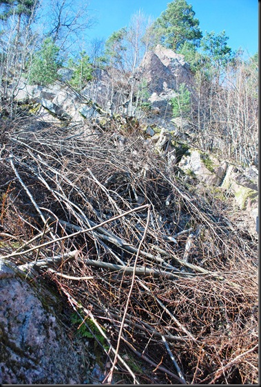 Virvar og klarhet Virvar og klarhet