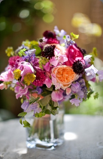 070310-3282 petalena