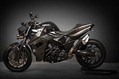 BMW-Vilner-F800-R-Predator-18 BMW-Vilner-F800-R-Predator-18