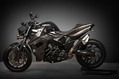 BMW-Vilner-F800-R-Predator-18