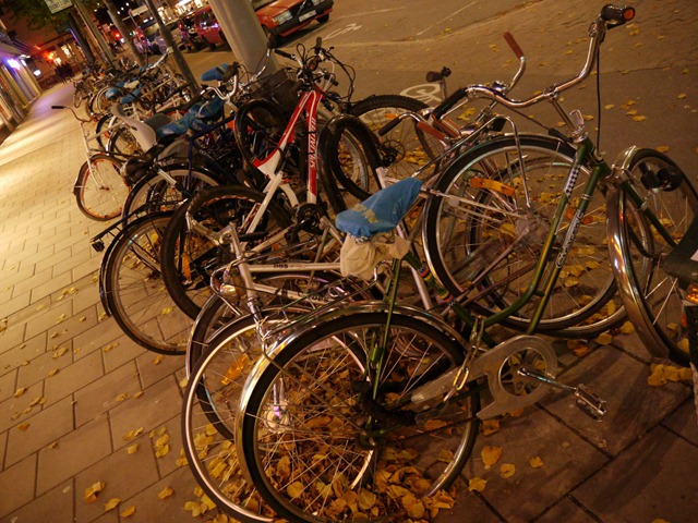 [P1000391_IJFR%255B3%255D.jpg]