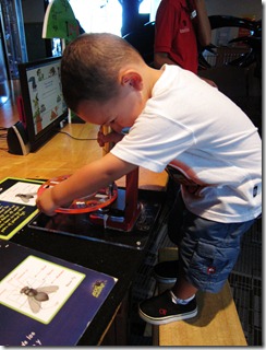 IMG_3970 IMG_3970