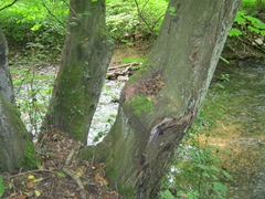 IMG_0178
