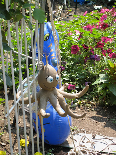 It's an octopus's garden! But this one is in the blazing sun, NOT the shade. It's an octopus's garden! But this one is in the blazing sun, NOT the shade.