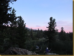 IMG_0501 IMG_0501