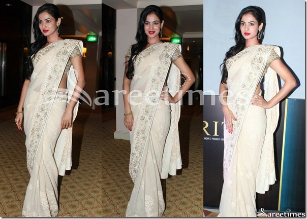 Cream_Embroidery_Saree Cream_Embroidery_Saree