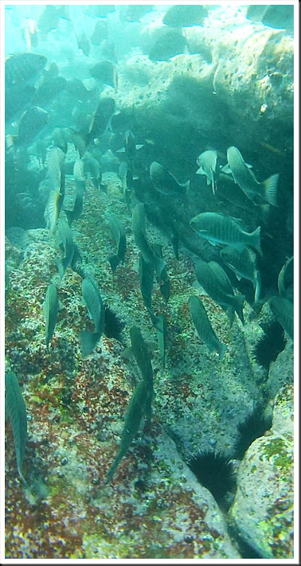 wreck-6 wreck-6