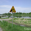 dsc06777.jpg