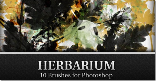 30-all-floral-brush 30-all-floral-brush