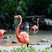 DSC_0725.jpg