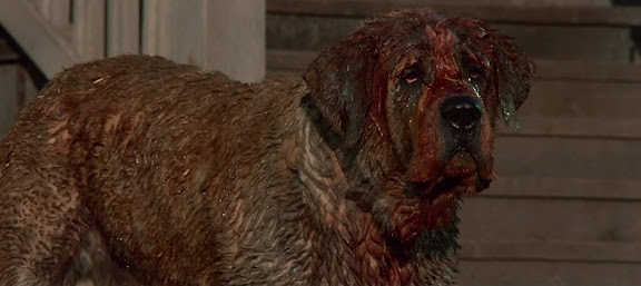 Cujo.jpg