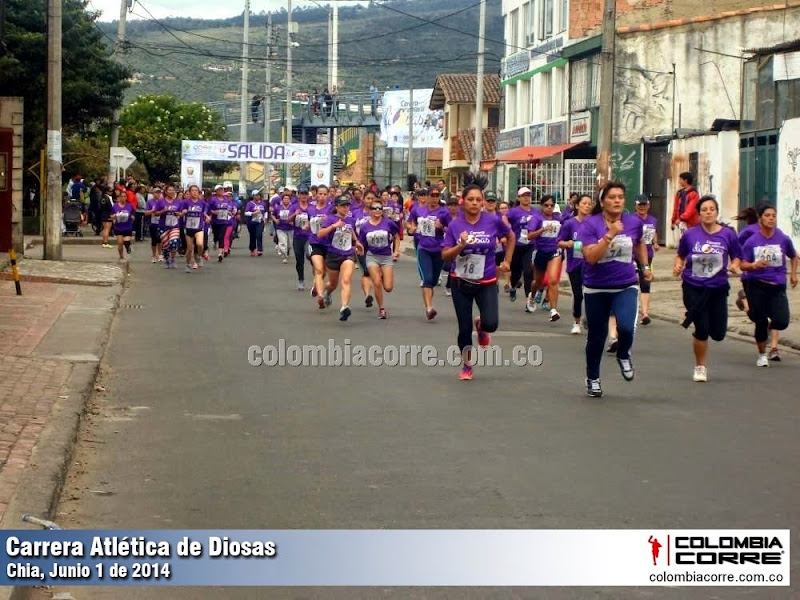 carrera atlética de diosas 2014