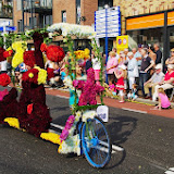 IMGP1451.JPG