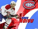 Saku Koivu Wallpaper