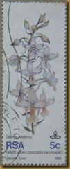 DSCN6525 DSCN6525