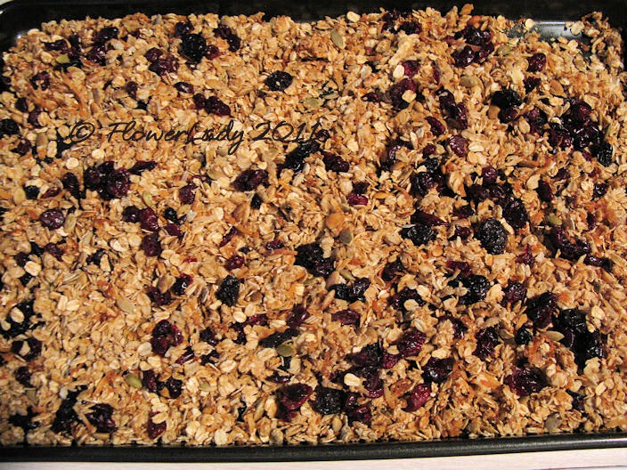 [06-14-granola%255B4%255D.jpg]