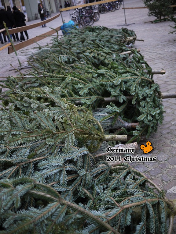 [P1200667%255B4%255D.jpg]