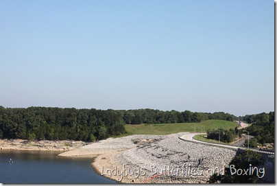 IMG_1063_e IMG_1063_e