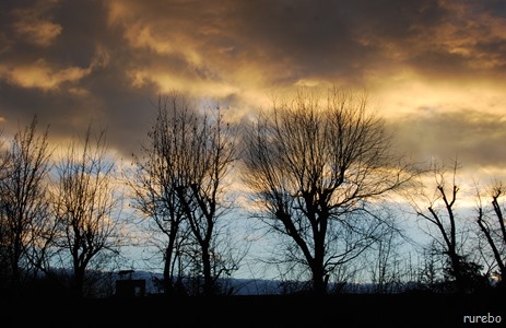 DSC_7414 DSC_7414