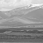 IMG_4458.jpg