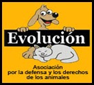 logo_evolucion