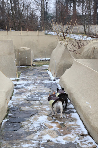 You know, Sharkey, burlap, or hessian, is a great material to use in the garden.  It's strong and natural and is usually woven from fibers of the jute and sisal plants.  Its loose weave allows for good air circulation and it's biodegradable.