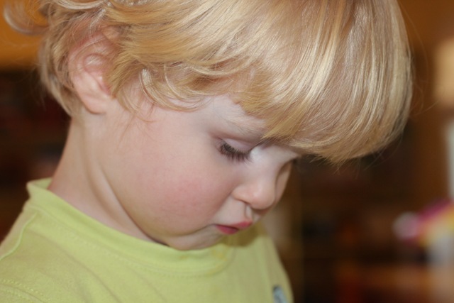 [IMG_6973%255B4%255D.jpg]