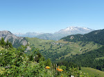 CroqSud2010 073.jpg