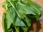 Escarole