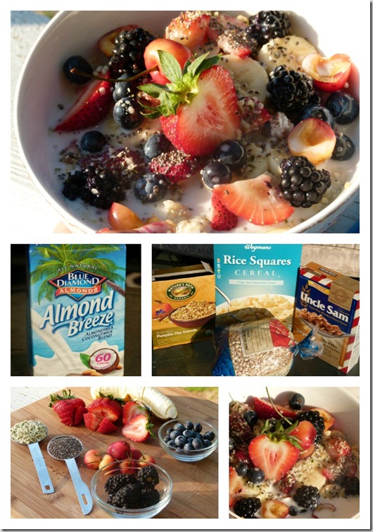 Red white blueberry breakfast cereal