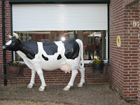 Buluitreiking feest Lonneke