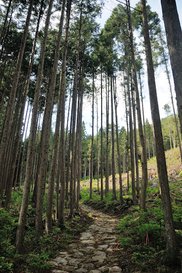 位山官道 匠の道