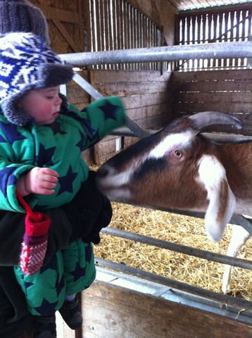 Longdown Dairy Farm
