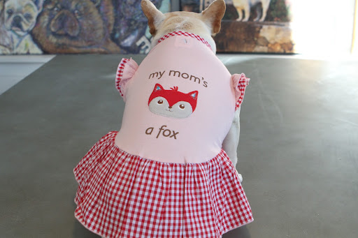 It also has a fox stitched on the back and says 