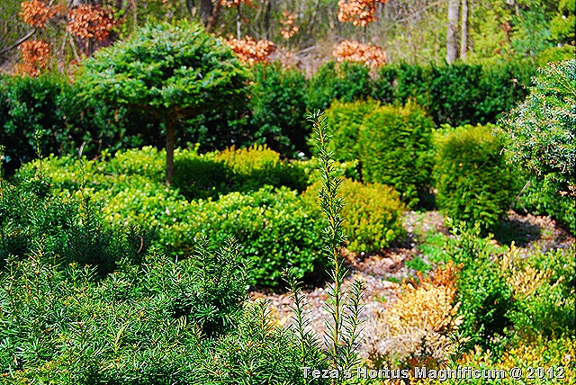 [DSC_0009%255B7%255D.jpg]