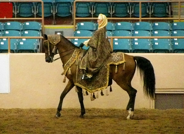 [IMG_3797%255B5%255D.jpg]
